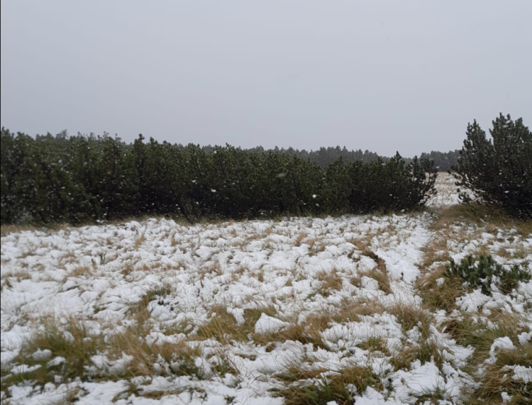 W Karkonoszach spadł pierwszy śnieg. Zobaczcie zdjęcia