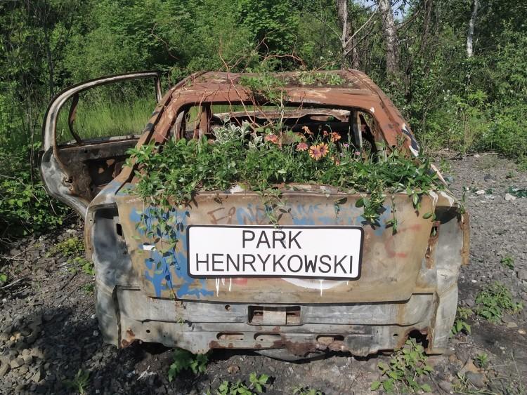 Wrocław: Udekorowali wrak samochodu, bo zamiast parku wciąż mają gruzowisko
