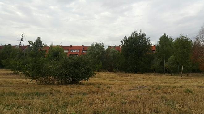 Chcą publicznego placu zabaw dla dzieci na Wojszycach. Powalczą o głosy w budżecie obywatelskim