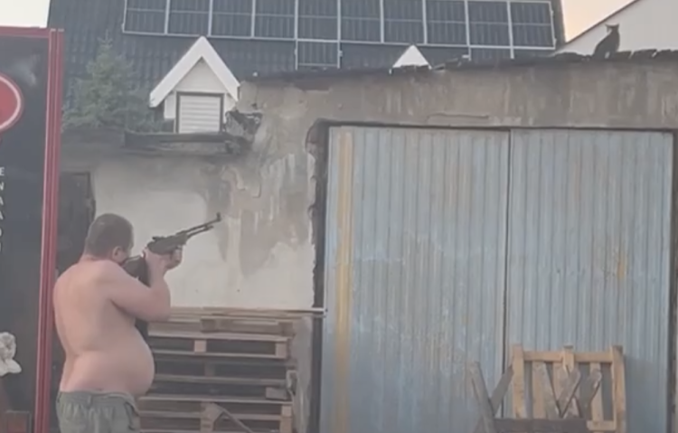 Sadysta z Bielan Wrocławskich. Postrzelił kota [WIDEO]