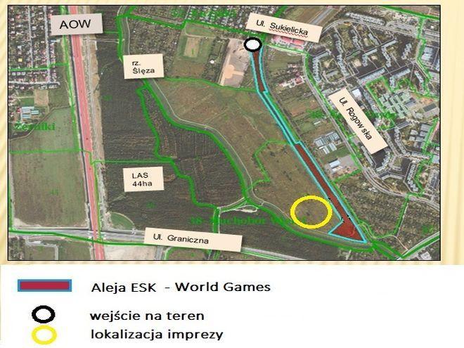 Urzędnicy bronią Tramwaju Plus. „Nie wycofujemy się z tego projektu, wręcz przeciwnie”