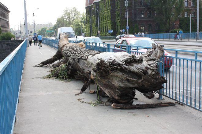 Wąskie gardło przed mostem Pokoju. Drogowcy będą prowadzić tam prace w dwóch miejscach