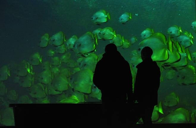 Już można zwiedzać Hydropolis. Pierwsi goście zachwyceni [FOTO]
