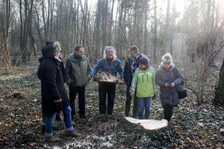 Chcą ratować Park Grabiszyński, dlatego będą wyrywać z niego klony