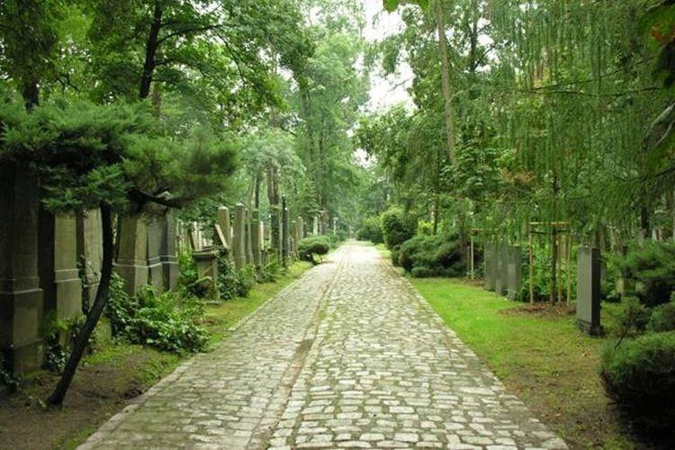 Anglojęzyczne oprowadzanie po starym cmentarzu żydowskim we Wrocławiu