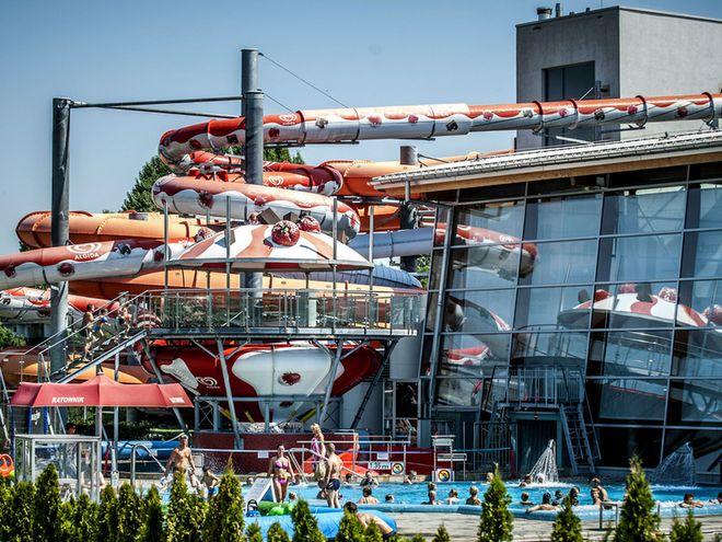 Nieustające tropikalne wakacje dla małych i dużych w Aquaparku Wrocław