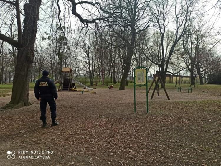 Strażnicy miejscy kontrolują miejsca, gdzie gromadzą się ludzie [ZDJĘCIA]