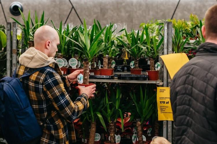 Festiwal Roślin znów we Wrocławiu. Ceny od 5 złotych