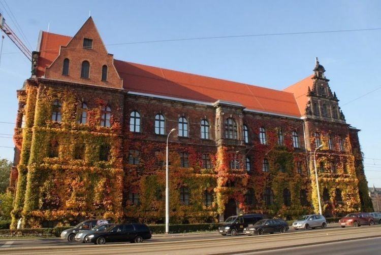 Pracownicy Muzeum Narodowego dzielą się sztuką z innymi