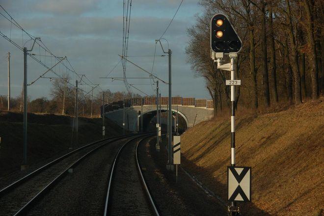 Dla żaby i jelenia linia kolejowa z Wrocławia się zmienia