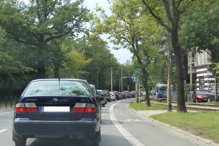 Wrocławianie ruszyli do zoo. Tłumy w kolejkach, ogromne korki na ulicach [ZDJĘCIA]
