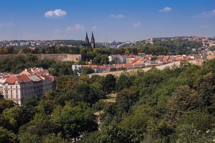 O historii państw Grupy Wyszehradziej w Starym Ratuszu