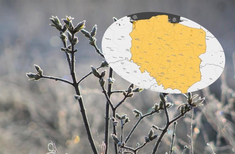 Cała Polska w żółtych alertach. Wróciły przymrozki!