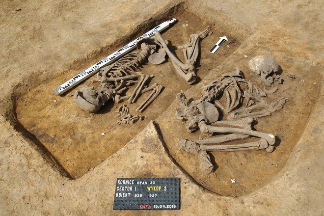 Niespotykane badania udziałem archeologów z Wrocławia