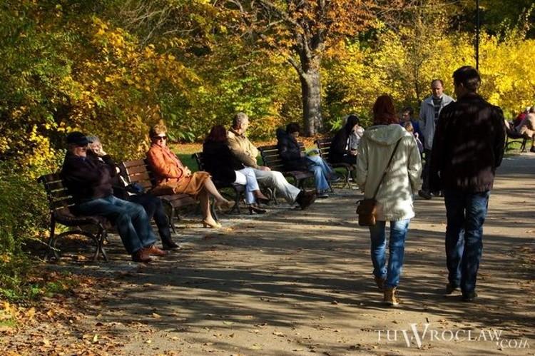 Wrocław dostał 12 mln zł na zazielenianie. Powstanie 7 mikro-parków