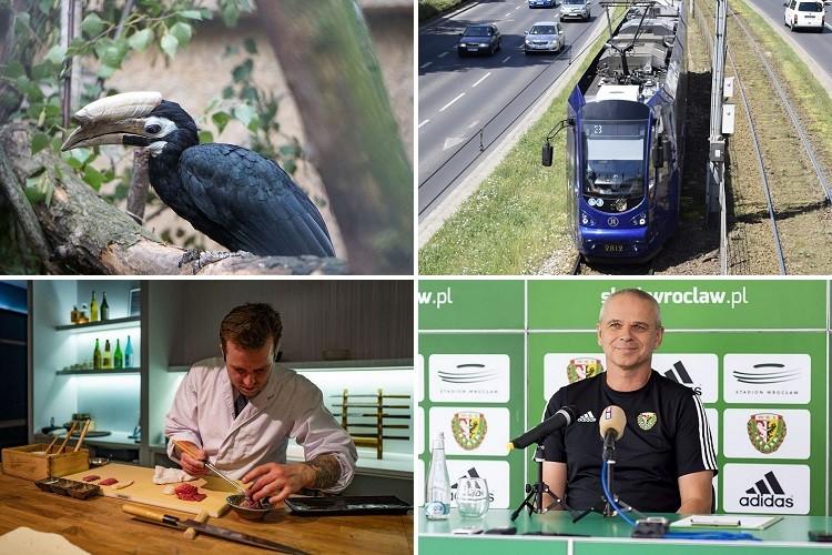 Tramwaje wracają na plac Legionów i postulaty Lewicy [PODSUMOWANIE DNIA]