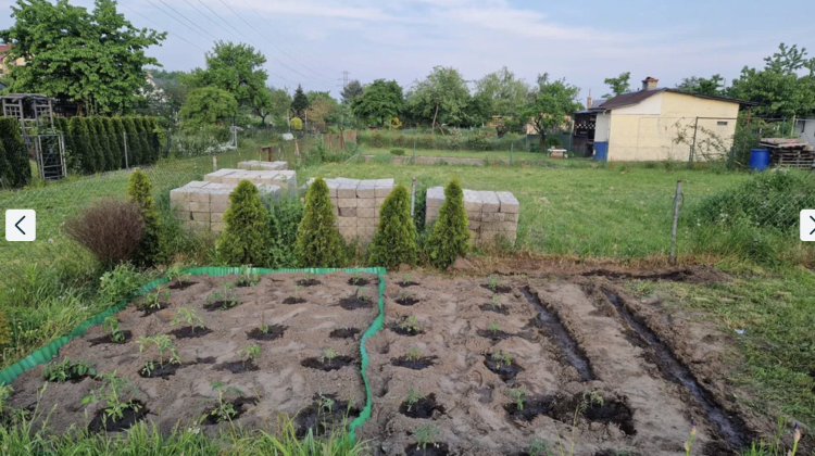 Wrocław: Ceny ogródków działkowych szaleją. Zapłacimy nawet 70 tys. zł