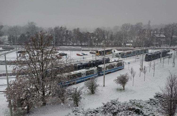 Zima stulecia we Wrocławiu i nietypowe święta [WYWIAD]