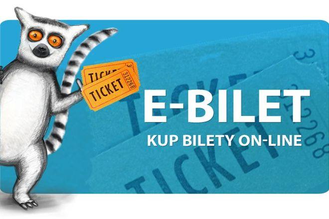 Już nie trzeba będzie stać w kolejkach po bilety do wrocławskiego zoo