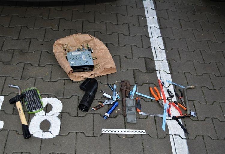 Wrocław: Policyjny pies wywęszył złodziei. Jeden z nich miał przy sobie narkotyki