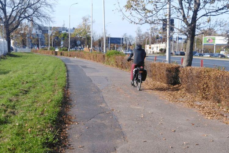 Wrocław: Będzie remont zniszczonej drogi rowerowej. Kilka miesięcy utrudnień