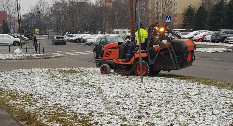 Wrocław: Zamiast latem kosić trawę, koszą zimą śnieg? Miasto zapowiada: będzie kara