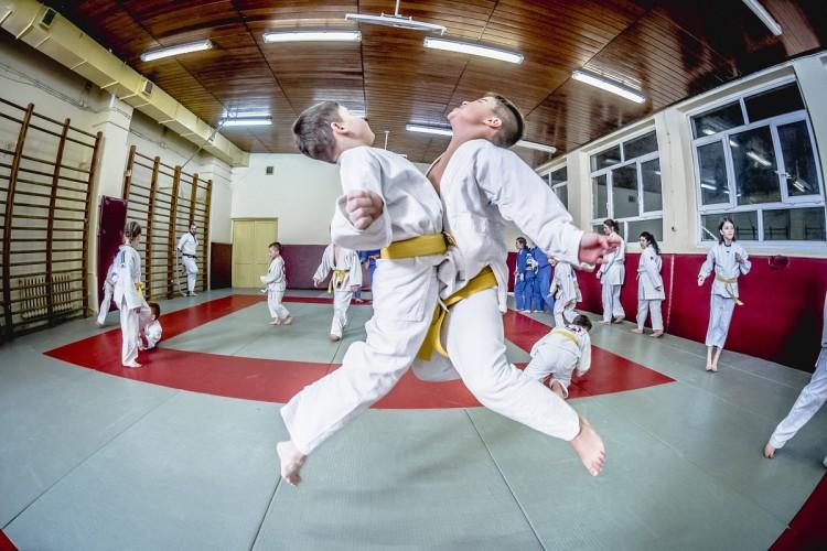 Sporty walki dla najmłodszych. Sobota na sportowo z Judo Tigers MORE