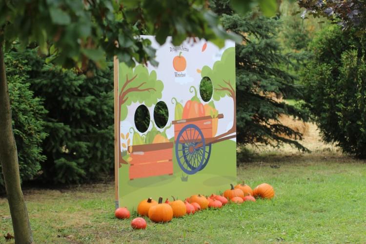 Wrocław oszalał na punkcie tego miejsca - Dyniowa Farma, byłeś tam już?