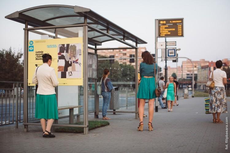 Dlaczego na wrocławskich przystankach rośnie trawa?