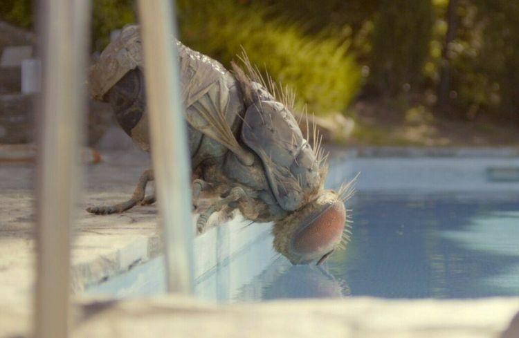 Święto miłośników horrorów, fantastyki i kina gatunkowego. Rusza Splat!FilmFest