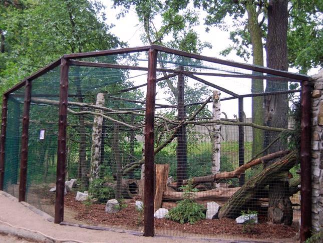 Reaktywacja pawilonu małych drapieżców w ZOO