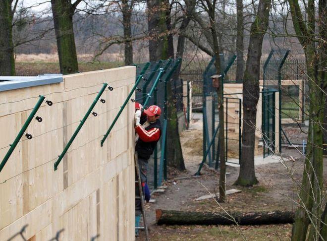 We wrocławskim ZOO, mimo zimy, twa budowa nowych pawilonów dla zwierząt