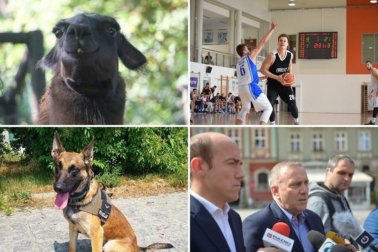 Przedwyborcze szachy, wykolejenie tramwaju i mikrogranty [PODSUMOWANIE DNIA]
