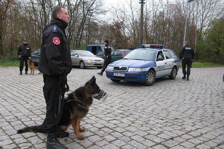 Policyjny pies odnalazł przy cmentarzu rannego mężczyznę