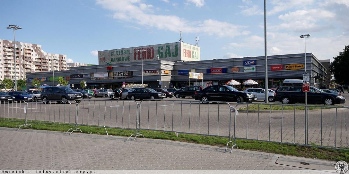 Nowy zarządca Ferio Gaj
