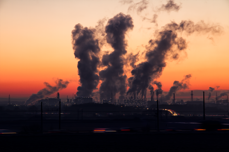 Zielone ABC: Smog, czyli zmora współczesnych miast