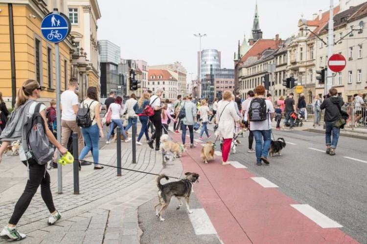 Parada psów. W niedzielę czworonogi przemaszerują przez Wrocław