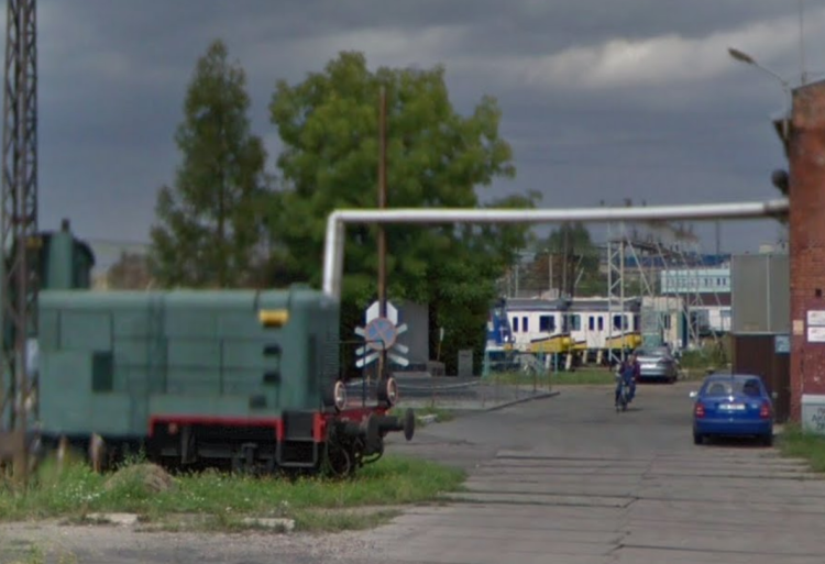 Wrocław: Ruszyła machina przetargowa. Do wycięcia jednego drzewa