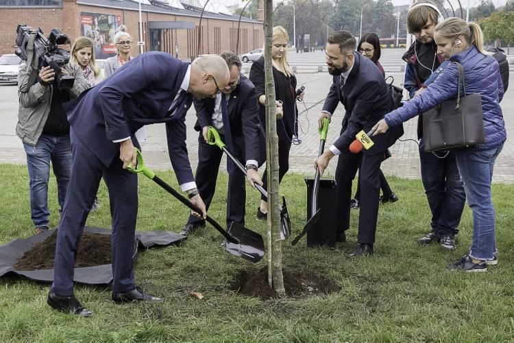 W Centrum Historii Zajezdnia posadzono symboliczny dąb [ZDJĘCIA]