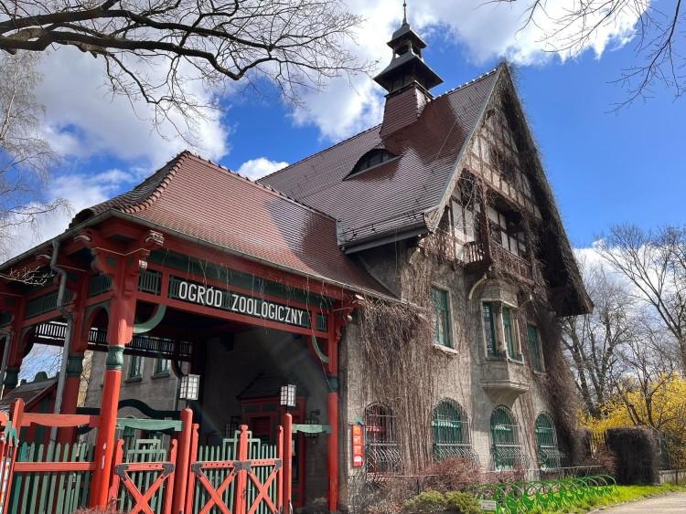 Wrocław: Kolejna inwestycja w zoo. Będzie remont budynku dyrekcji