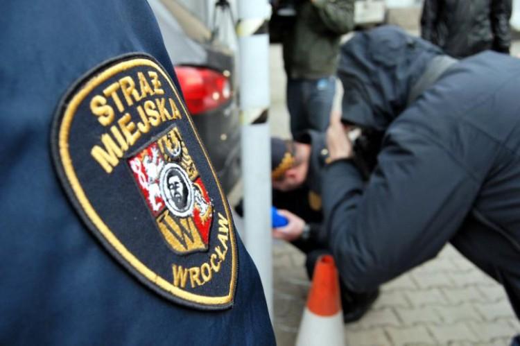 Ile mandatów wypisali wrocławscy strażnicy miejscy? [STATYSTYKI]