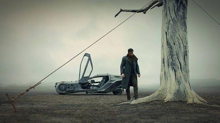 Pierwsza wpadka Cinema City we Wroclavii. Kinomaniacy są zawiedzeni