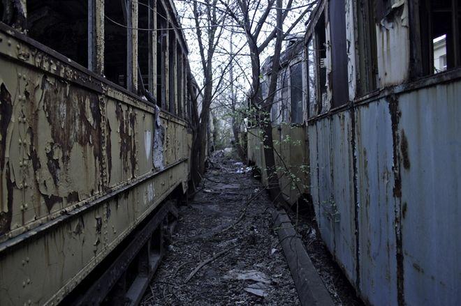 Powstanie instytucja od renowacji zabytkowych tramwajów i stworzenia muzem w zajezdni Dąbie?