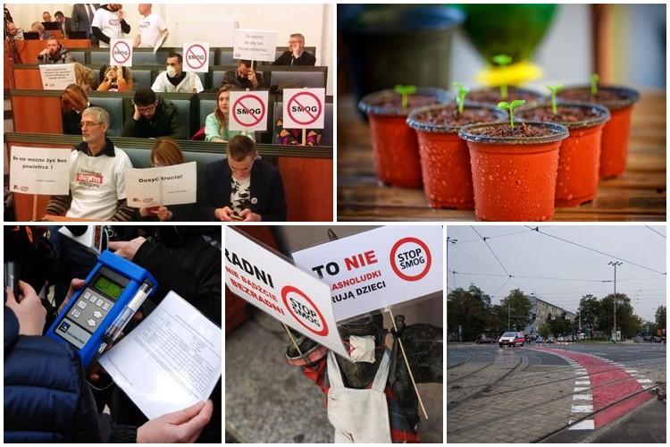 Sprawdź, jak dobrze orientujesz się w zagadnieniach ekologicznych [EKO-QUIZ]