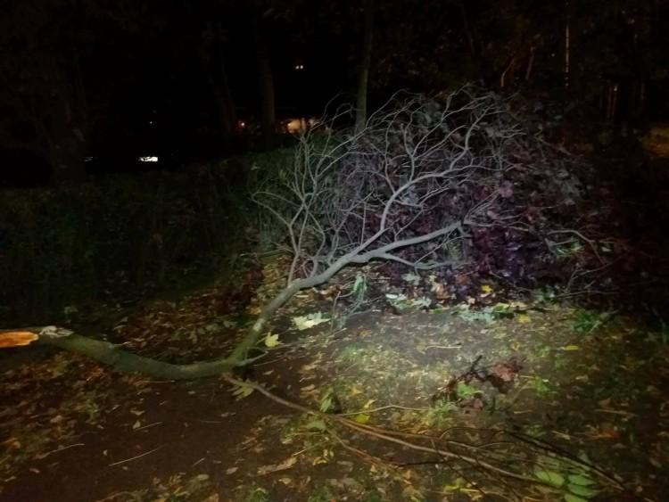 Wrocław: przez wichury spora część miasta nie ma prądu [LISTA ADRESÓW]