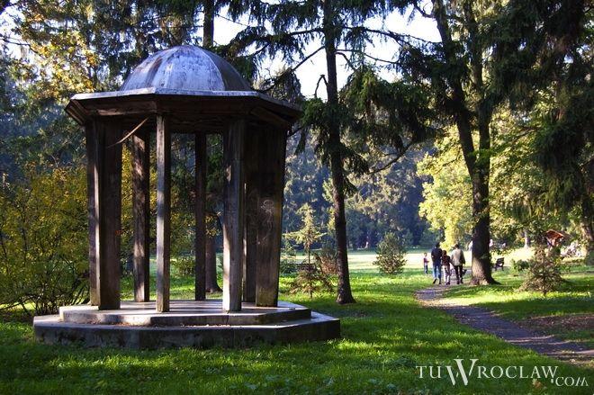 Temperatura we Wrocławiu wzrośnie. To będzie słoneczny, ale burzowy początek wakacji