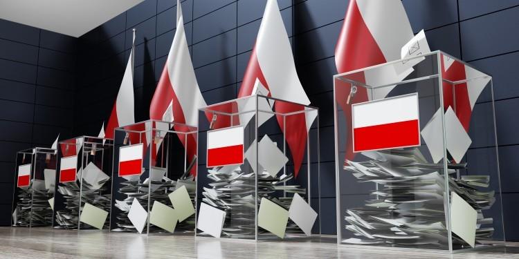 Wrocław: Kandydaci do Rady Miejskiej, okręg nr 7 [WYBORY 7.04.2024]