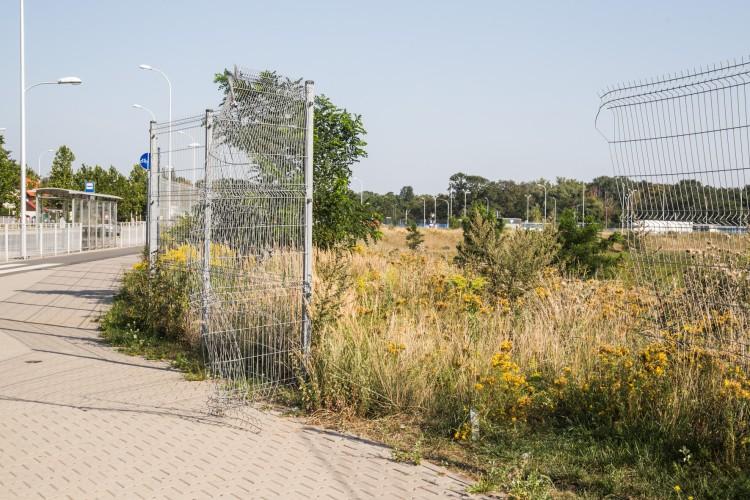 Dziura w ogrodzeniu felernej działki przy Stadionie Wrocław. Mieszkańcy chodzą nad staw? [ZDJĘCIA]
