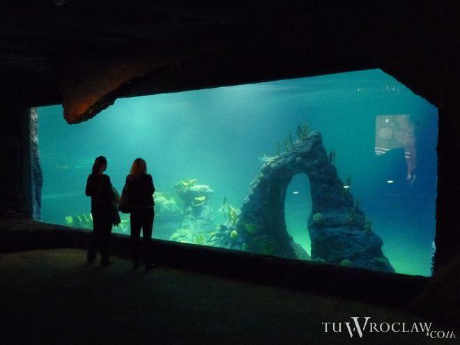 Rusza nowy sezon zimowy w ZOO i Afrykarium