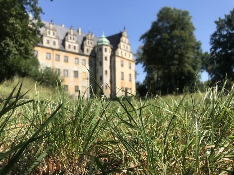 Aktywiści zbadali koszenie traw w aglomeracji wrocławskiej. Powstał 30-stronicowy raport
